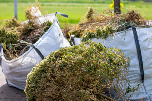 Best Dumpster Rental Services  in Ruleville, MS